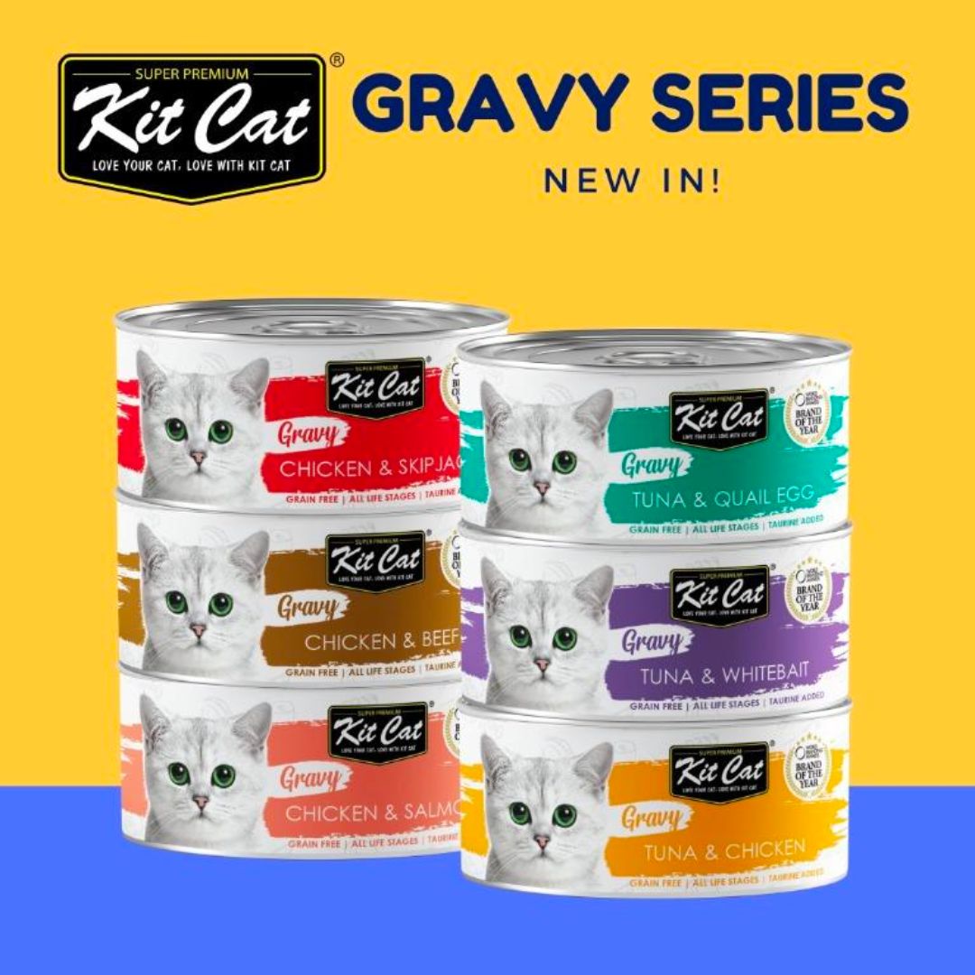 Pate Thức Ăn Ướt Dành Cho Mèo Dạng Sốt Kit Cat Gravy - Lon 70gr