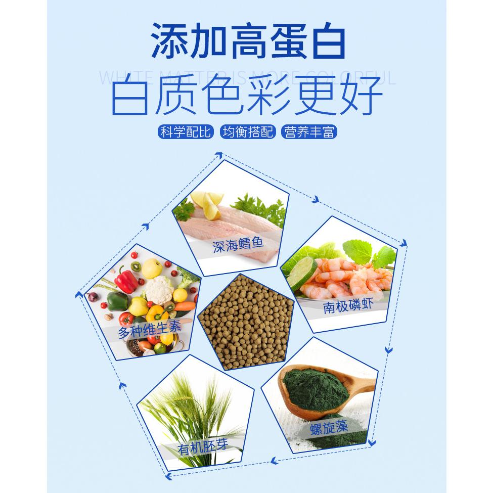 Thức ăn cho cá chép sư tử - cám cá koi bướm cao cấp- thức ăn cá cảnh - shopleo