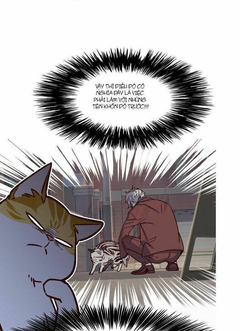 biến thân thành mèo chapter 6 7