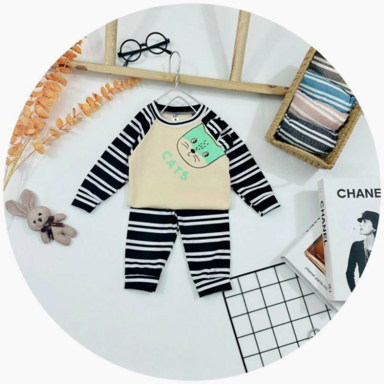 Bộ len tăm phối cotton cho bé 6-14kg