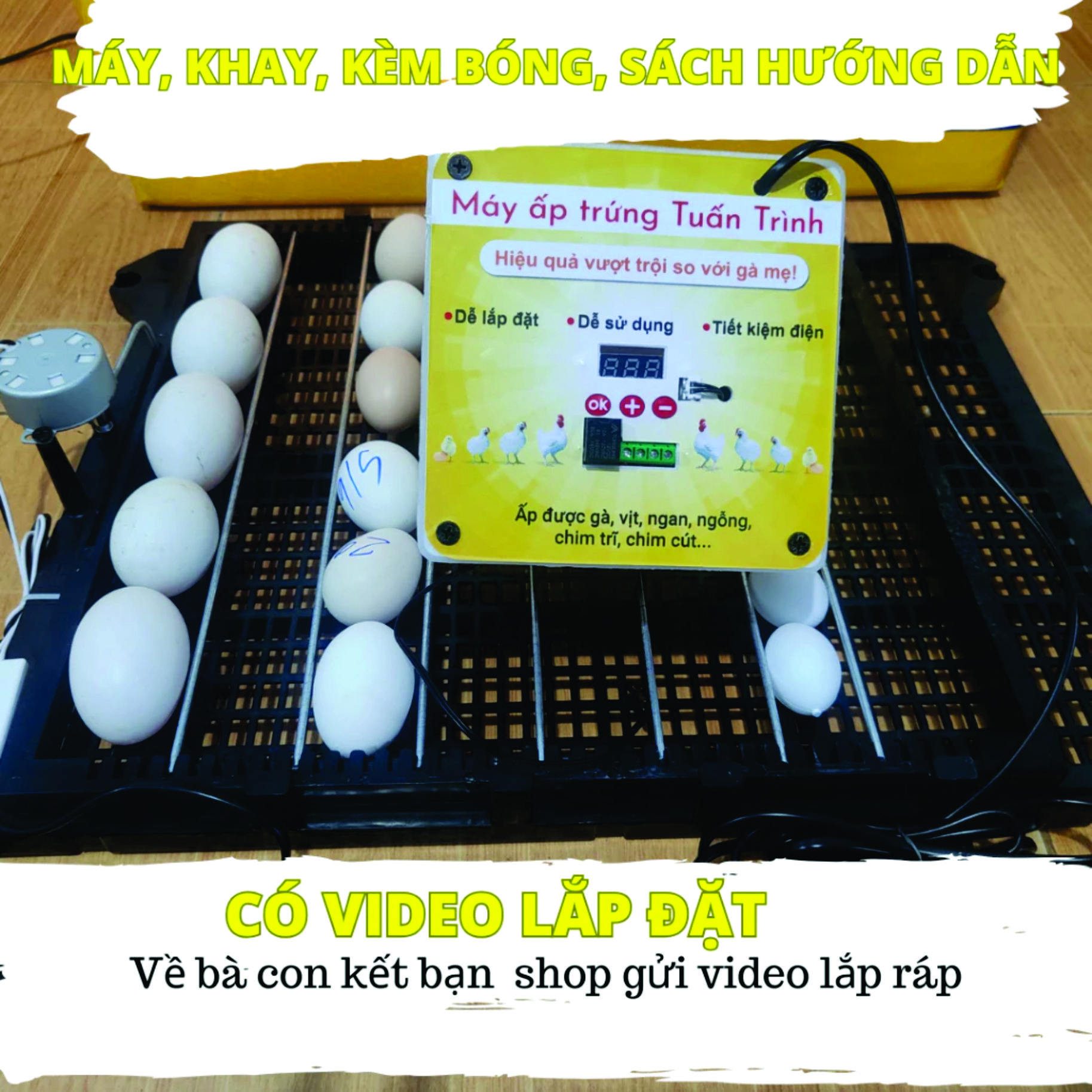 Combo Bộ máy ấp trứng tự động 54 trứng và khay đảo, cho gà vịt ngan ngỗng chim cút, chưa bao gồm thùng xốp