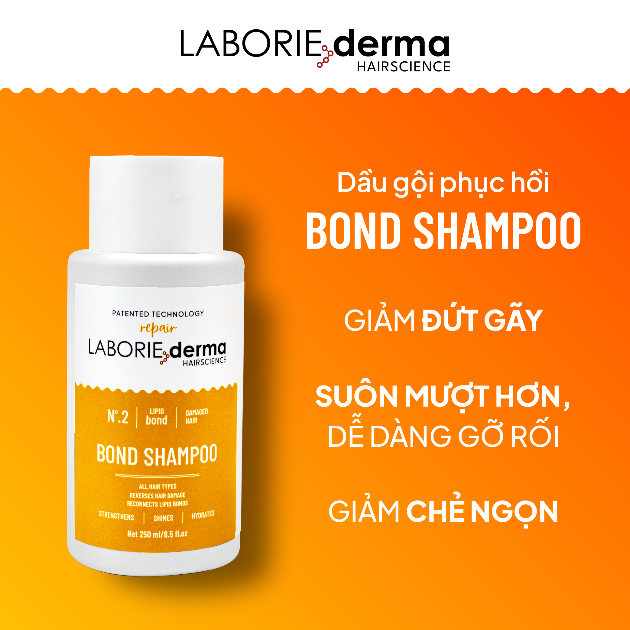 Dầu gội hỗ trợ phục hồi, tăng cường chắc khỏe tóc LABORIE derma Bond Shampoo 250ml