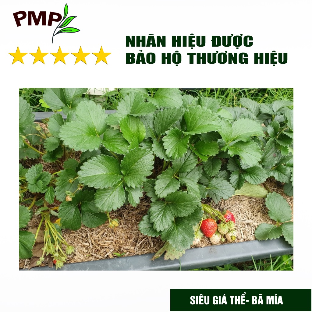 Giá Thể Trồng Cây PMP Siêu Giá Thể Bã Mía SUMI, Chuyên Dụng Cho Trồng Hoa Hồng, Hoa Lan, Rau Sạch (500g - 4dm3)