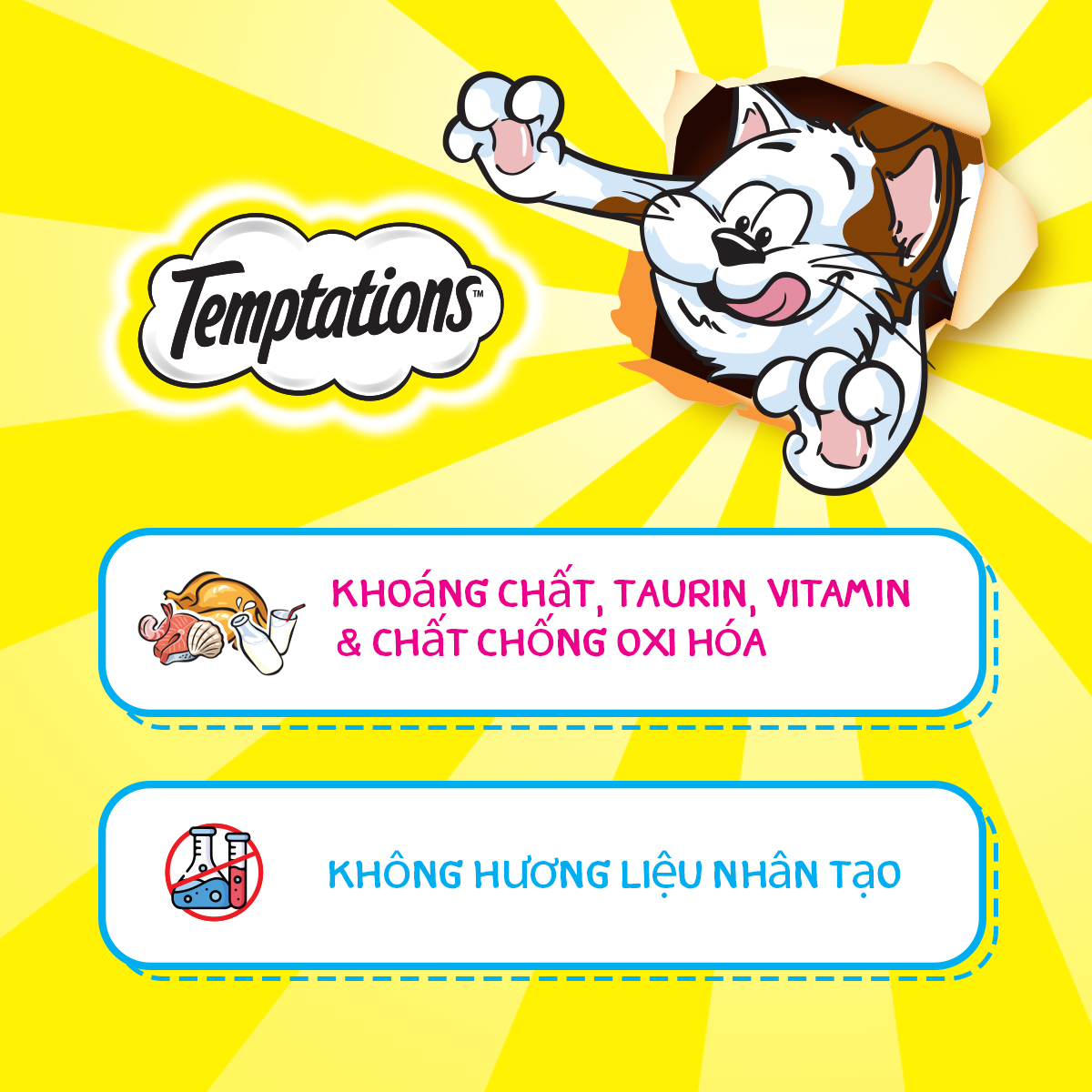 Bộ 3 túi bánh thưởng cho mèo Temptations: vị cá ngừ, hải sản và gà 75g/túi