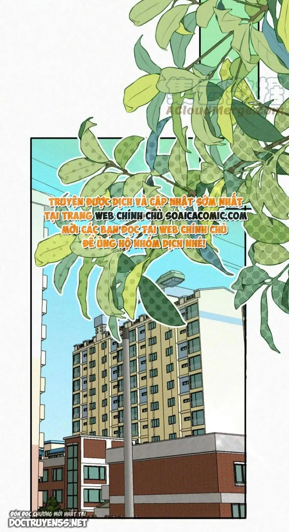 điên cuồng yêu em chapter 24 11