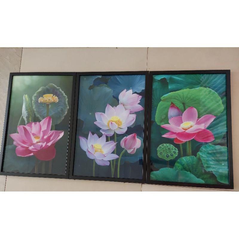 Tranh treo tường canvas hoa sen