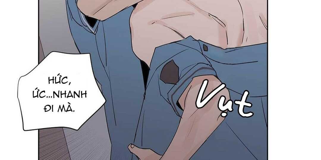 guide cấp b chapter 41 136