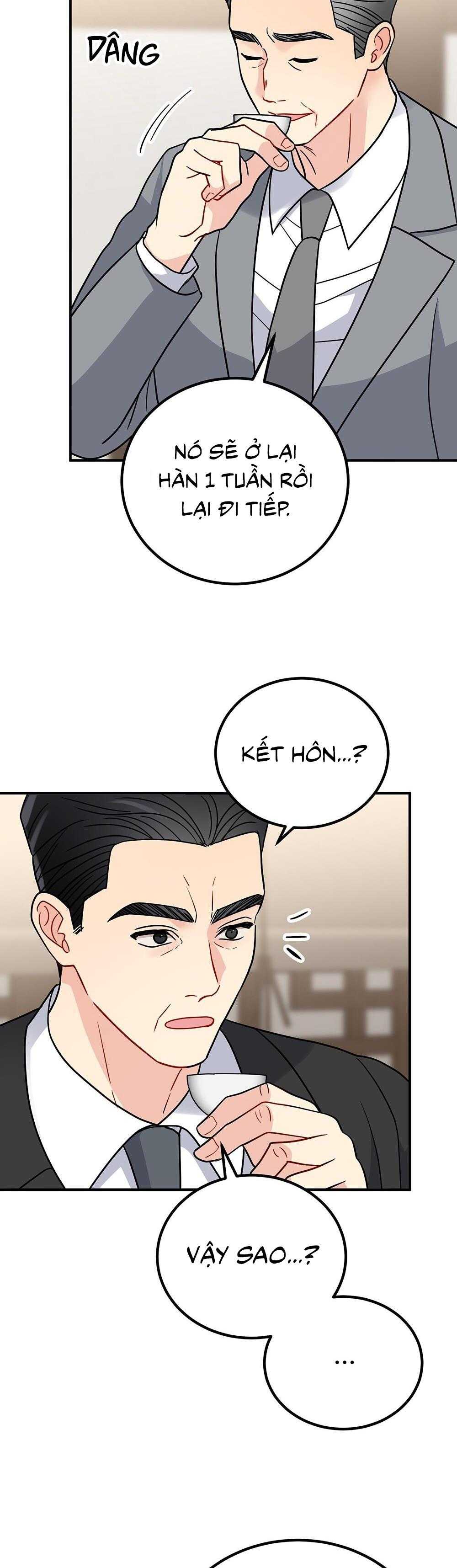 cậu không phải gu tôi chapter 48 10