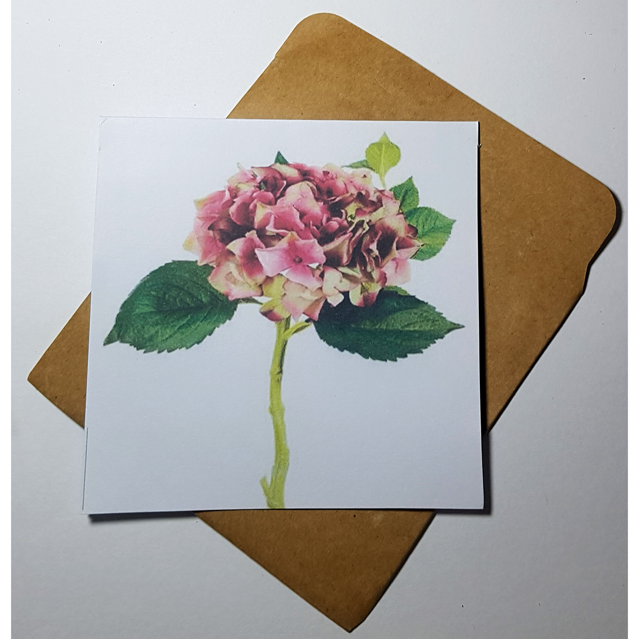Thiệp phong cách Vintage card quà cám ơn ,chúc mừng sinh nhật và giử tặng người thân yêu