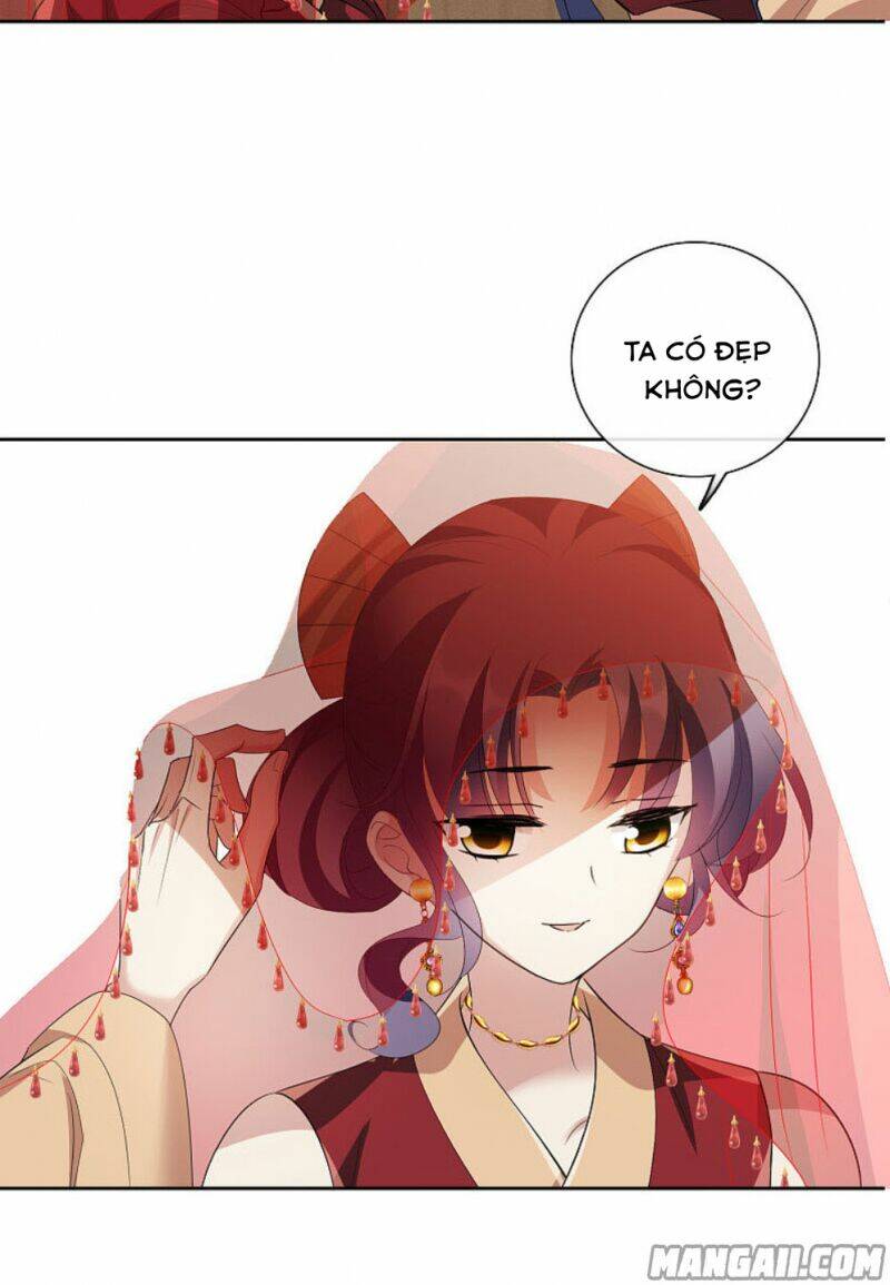 toàn cơ từ chapter 66.2 28