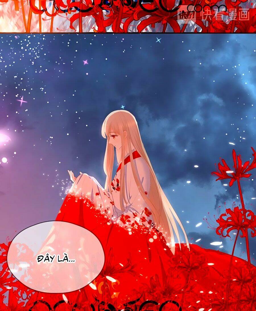 đóa hoa chớm nở chapter 75 31