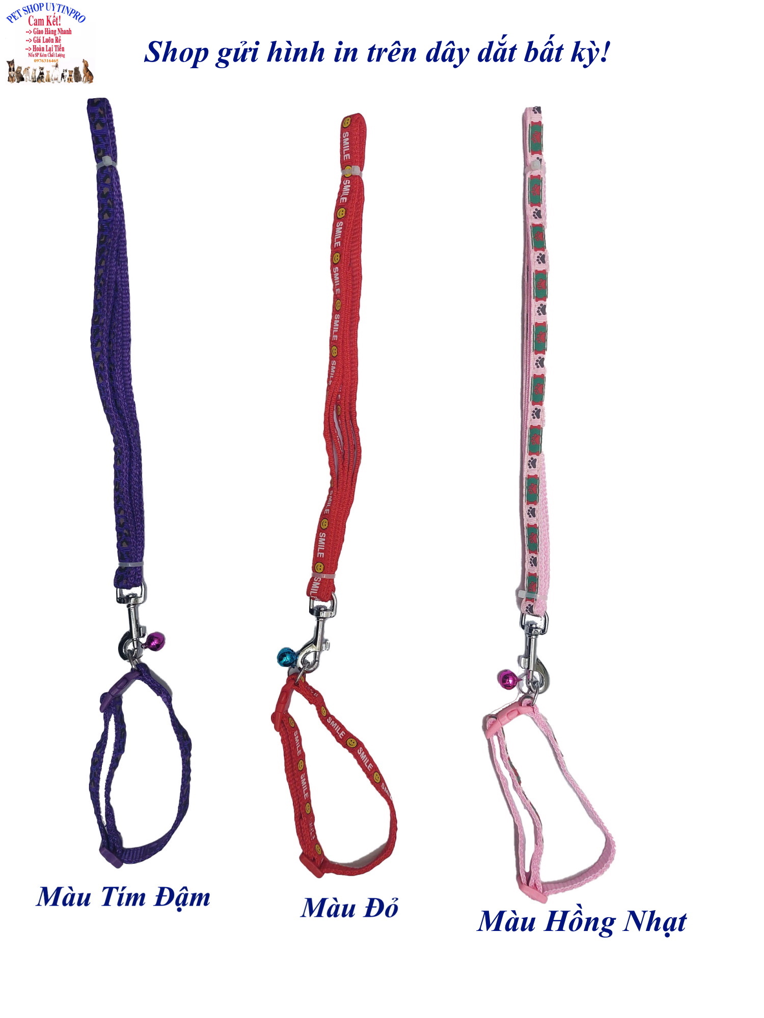 Dây dắt kèm vòng cổ có chuông cho Chó Mèo Dưới 5kg Bản rộng 1cm Dài 120cm Zichen In hình bất kỳ Chất liệu dù cao cấp