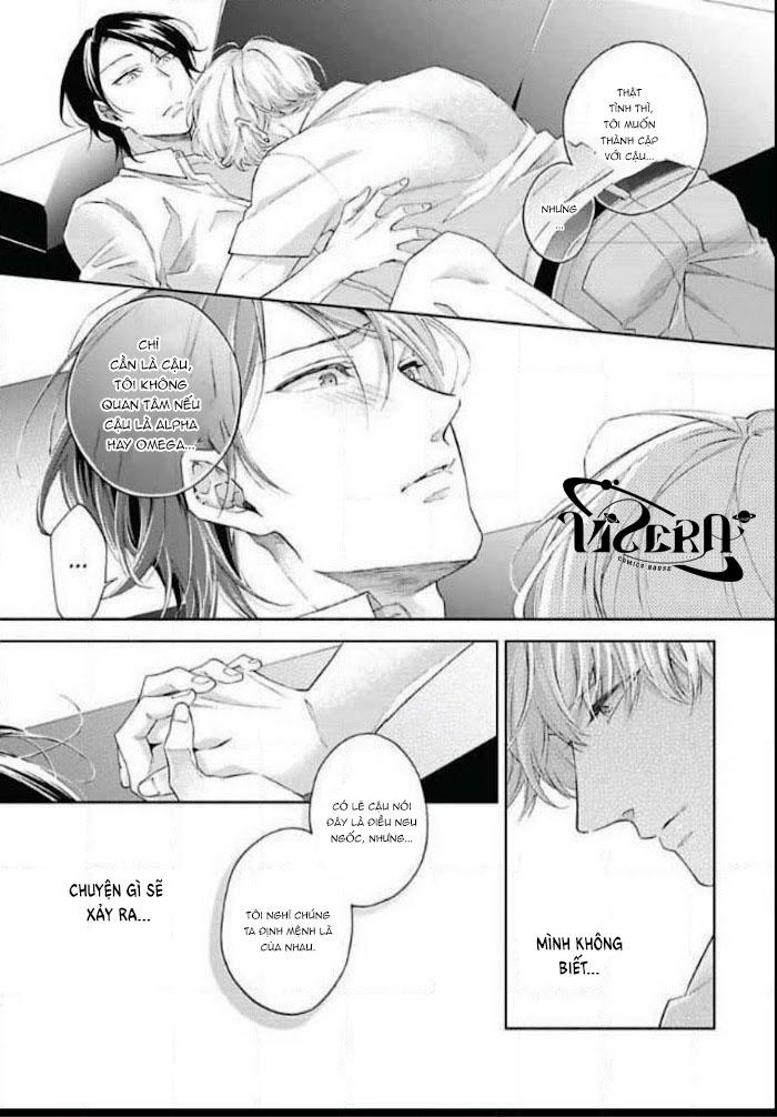 bạn đời giả dối chapter 6 29