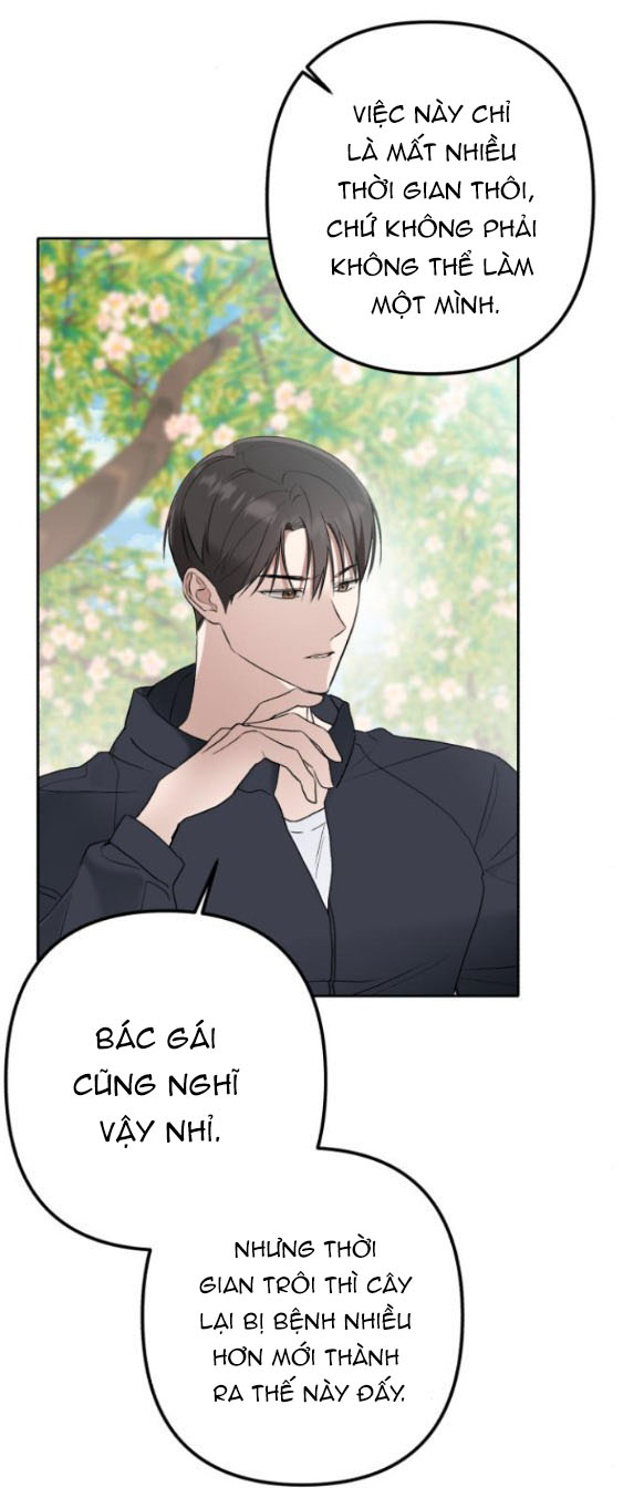 bóng râm mùa xuân chapter 3.1 41