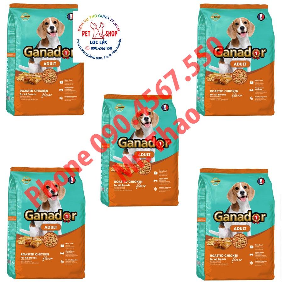 Combo 05 Gói x 400 gram Thức ăn cho chó trưởng thành Ganador vị gà nướng- Ganador Adult Roasted Chicken Flavor