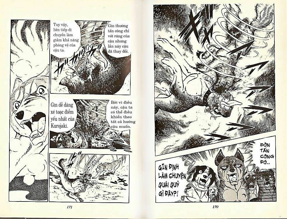 chú chó có nghĩa - ginga nagareboshi gin chapter 21 15