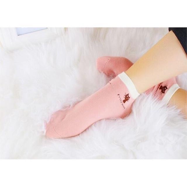 HỘP 5 ĐÔI TẤT MIU MIU CỔ NGẮN
