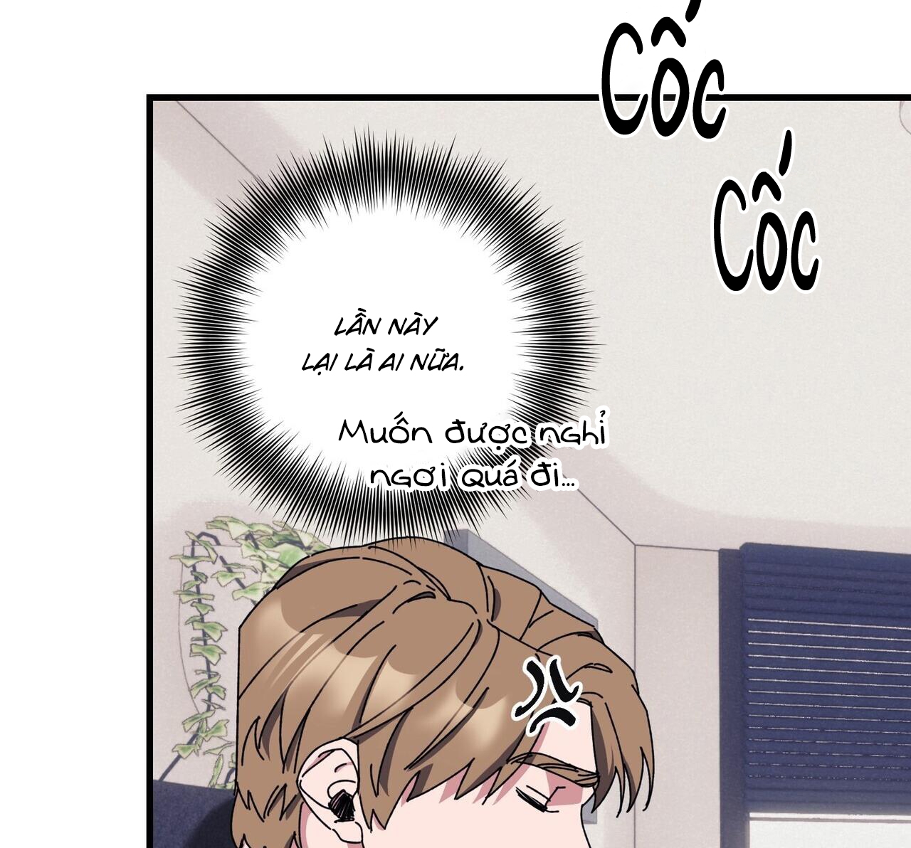 chàng dâu nhà họ kang chapter 38 116