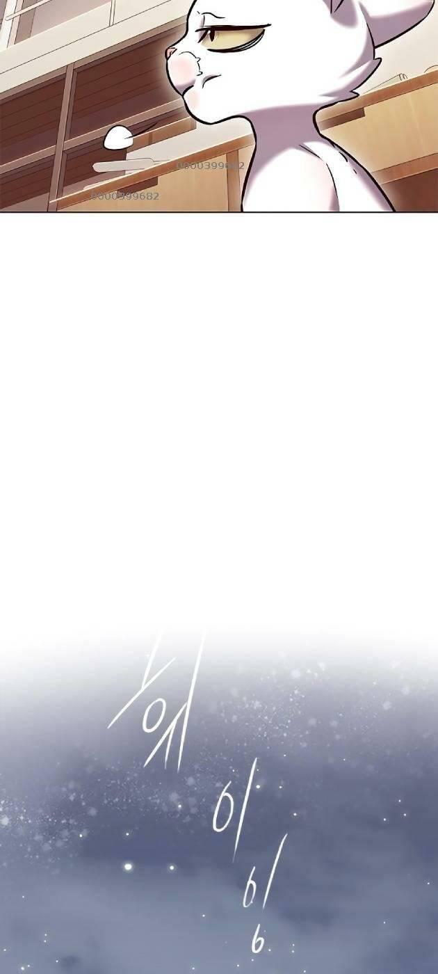 biến thân thành mèo chapter 241 61