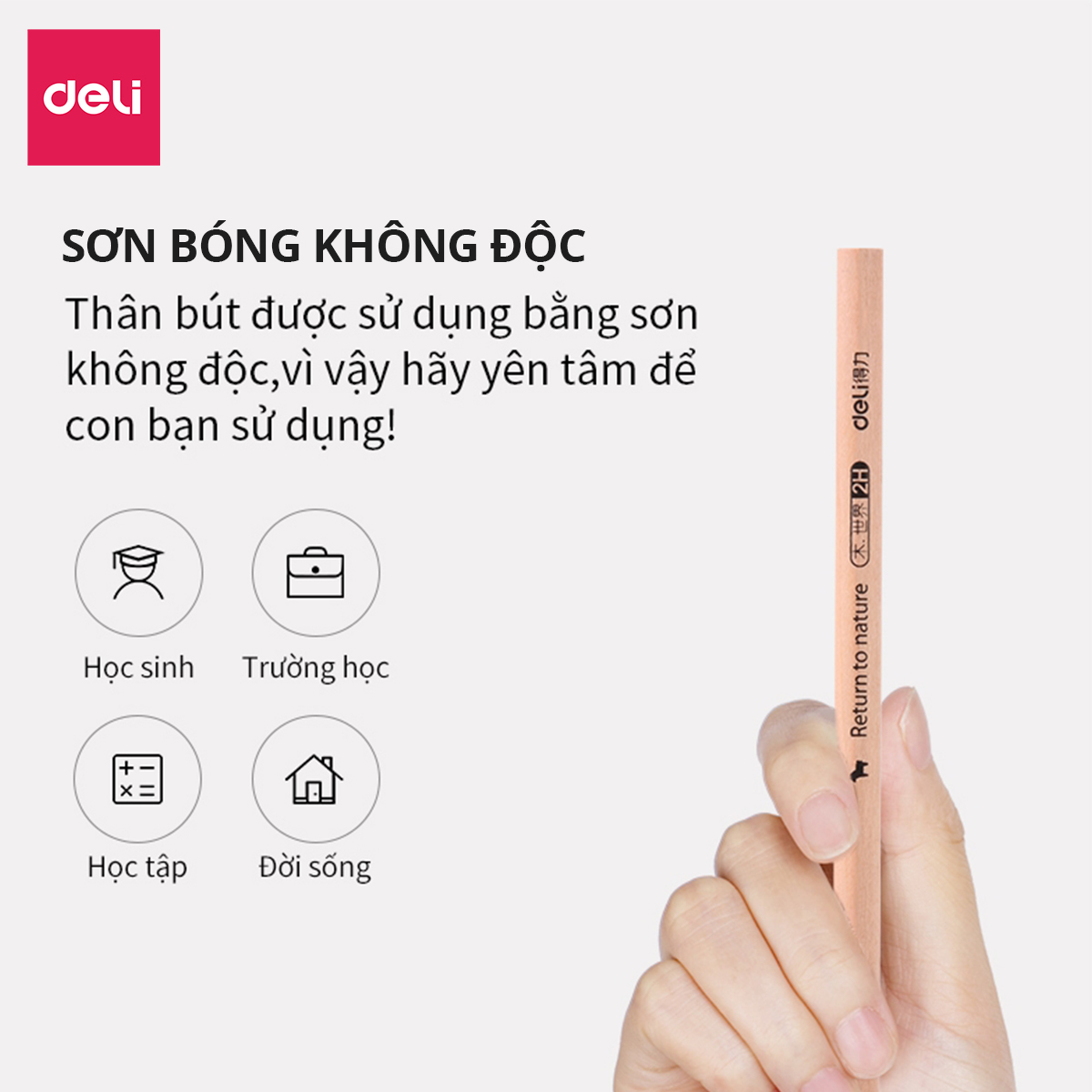 Bút chì lục giác/tam giác Deli - loại HB/2B - 30 chiếc/hộp - S941 / S943