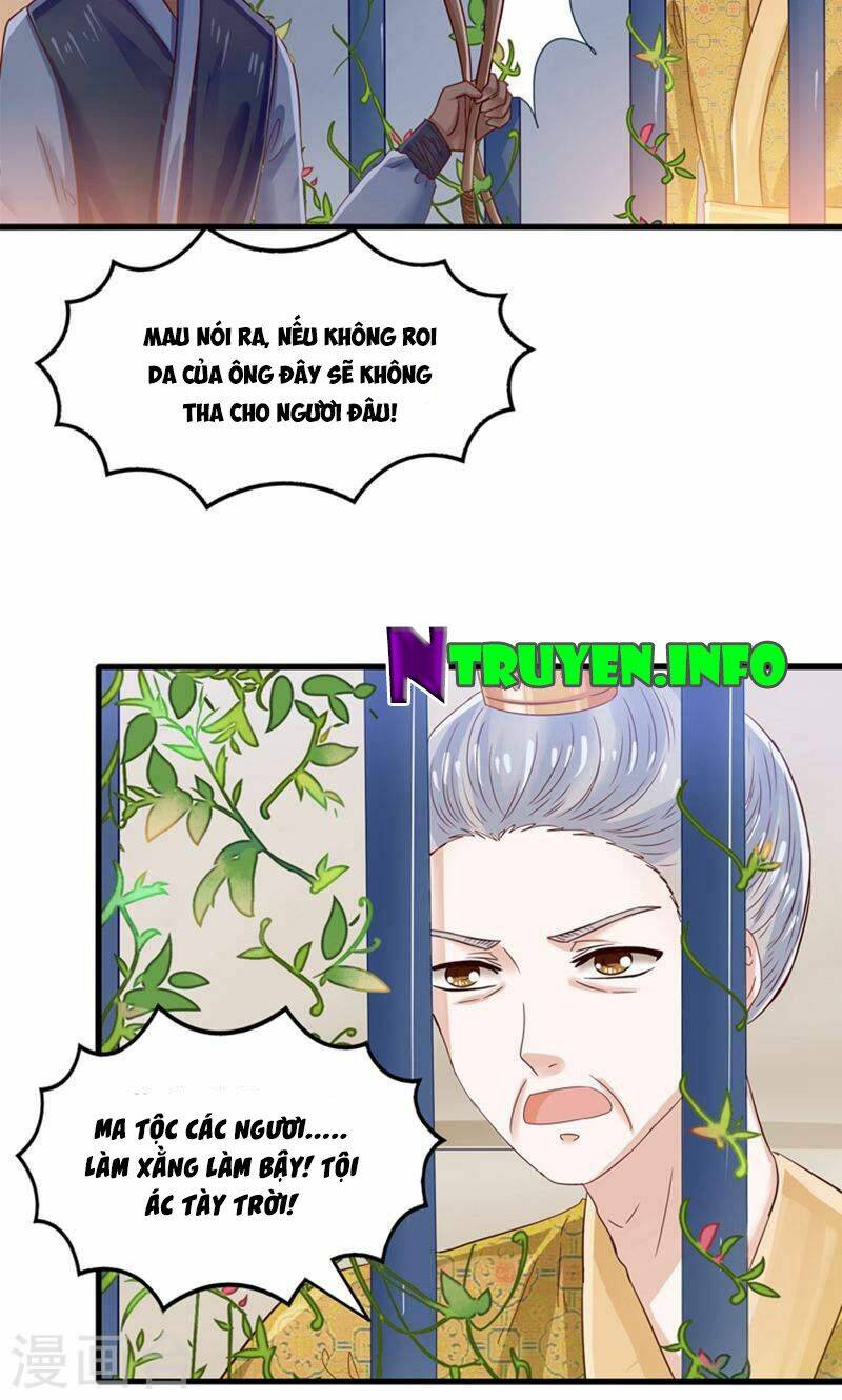 tôi bị gấu trúc nhìn trúng rồi chapter 23 33