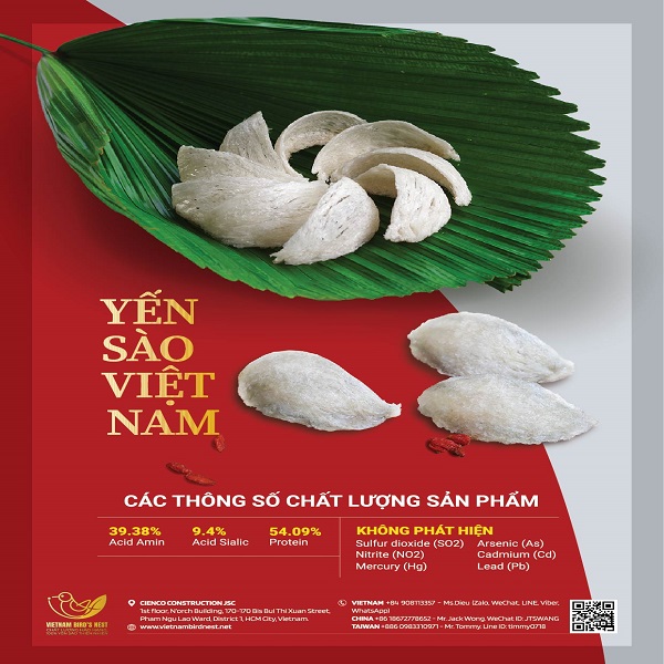 TỔ YẾN ĐỊNH HÌNH MẪU 2