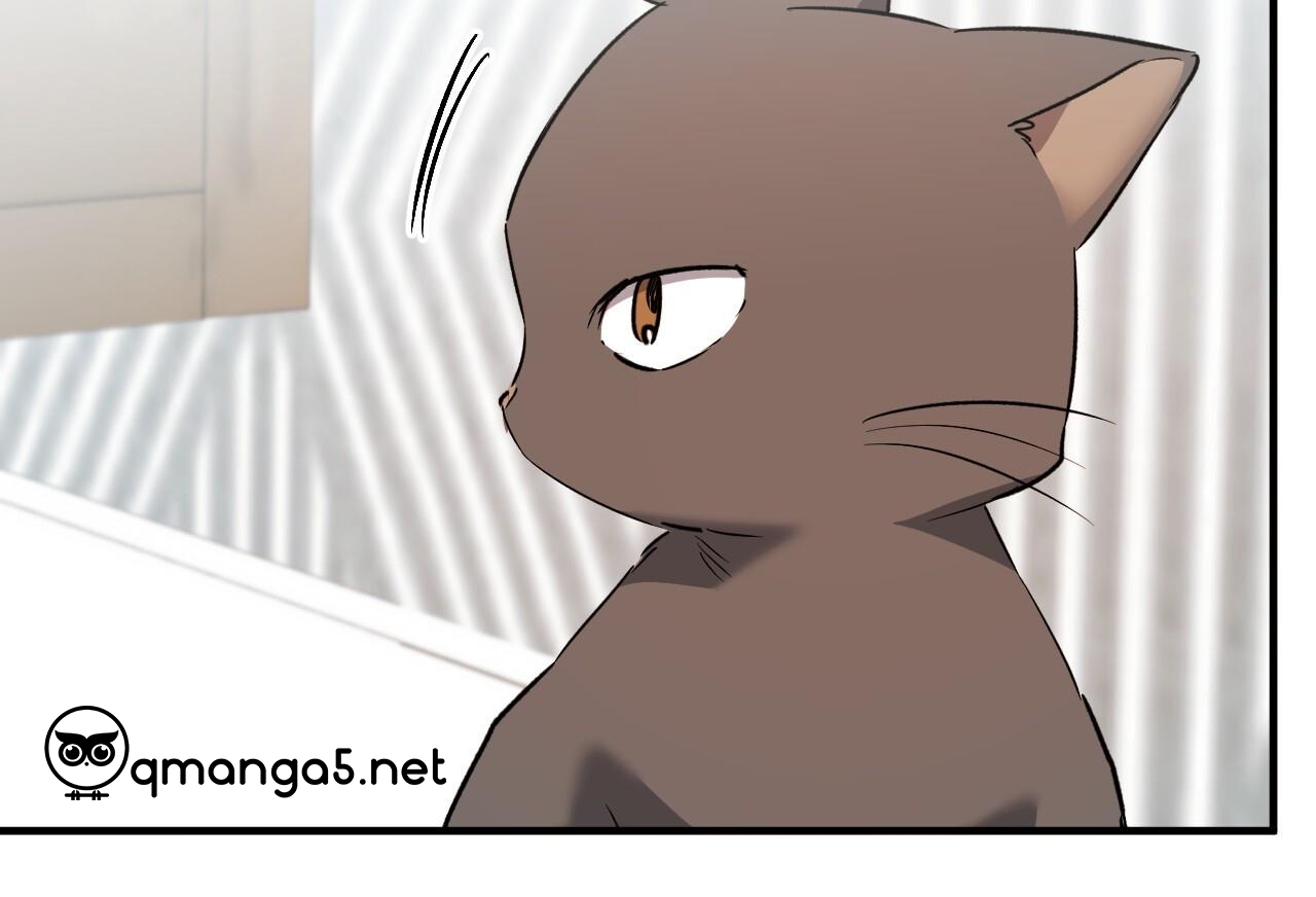 đàn thỏ của habibi chapter 65 234