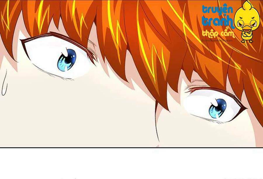 cường sủng hào môn tiểu manh thê chapter 31 33