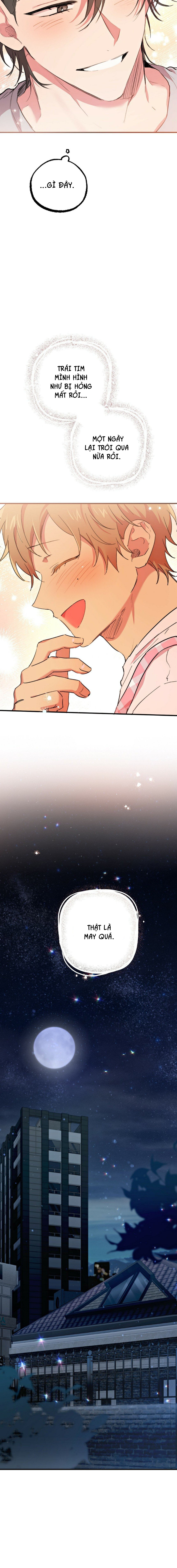 những chú thỏ của hapypy chapter 18 19