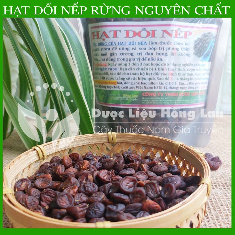 500gram Hạt dổi nếp khô sạch chuẩn rừng loại 1