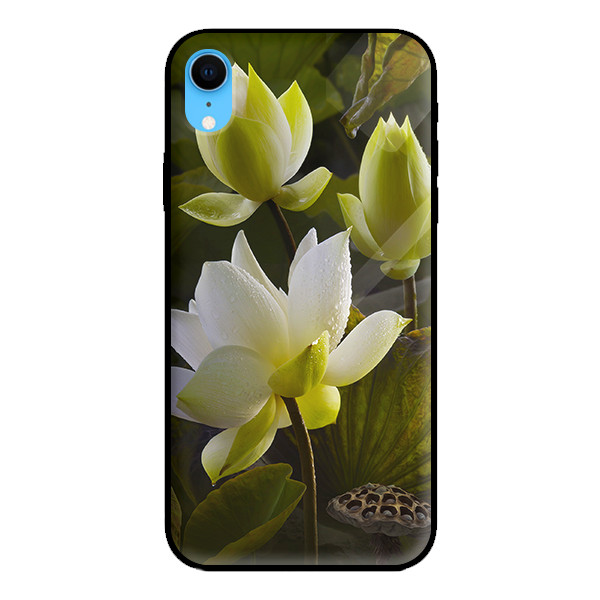 Ốp lưng kính cường lực cho iPhone XR HOA SEN 1 - Hàng chính hãng