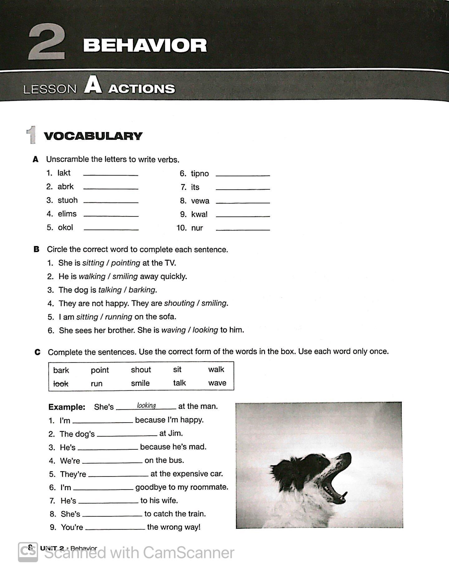WORLD LINK 1 WORKBOOK