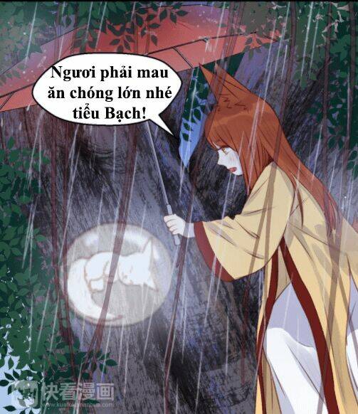 lượm được 1 tiểu hồ ly chapter 70 20