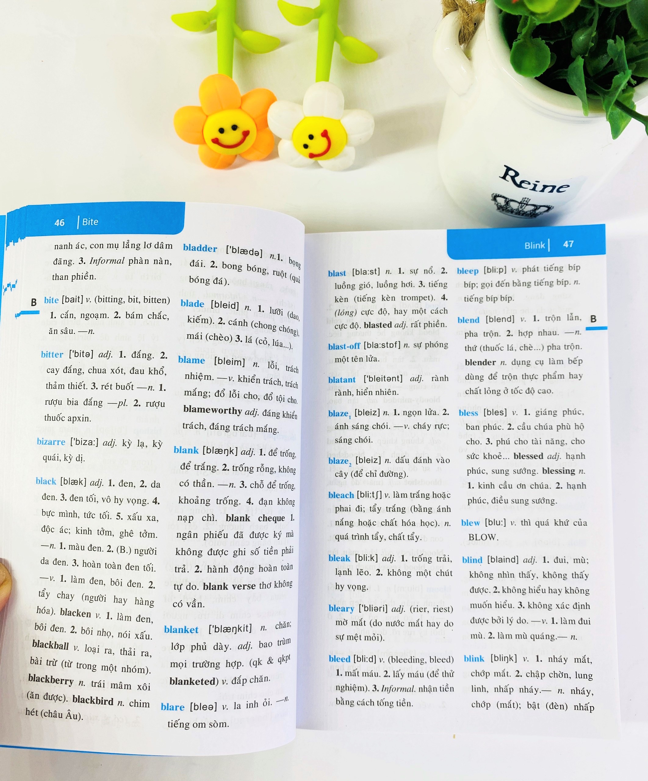 NDB - Từ điển anh việt 30.000 từ - ảnh 6