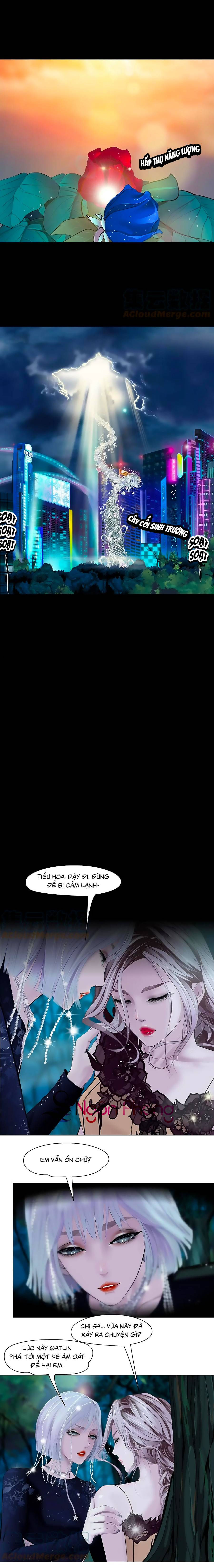 đằng nữ chapter 154 1