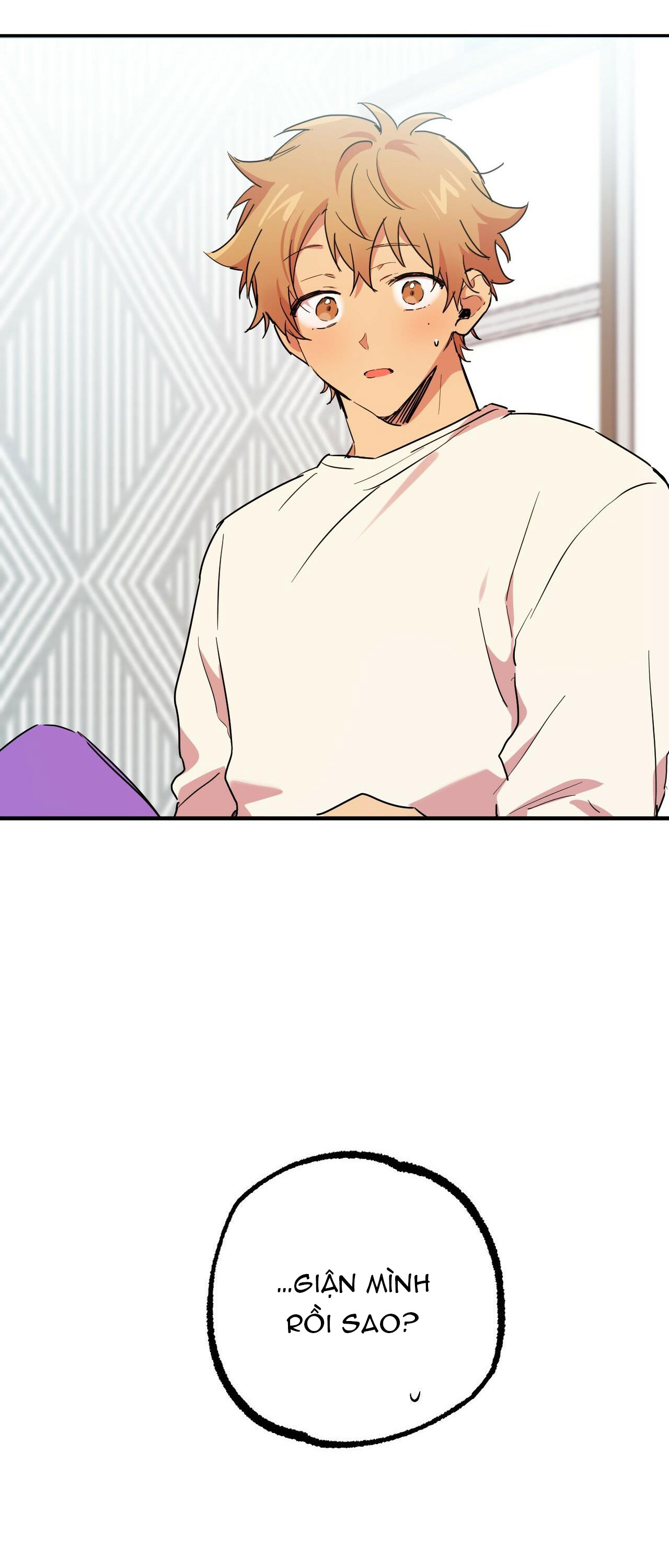 những chú thỏ của hapypy chapter 13 10