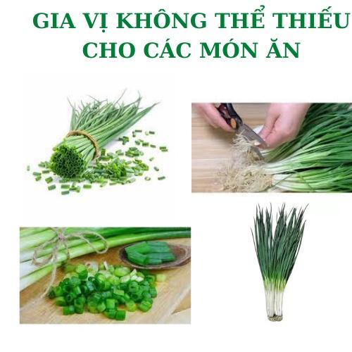 10gHạt giống hành hương cao sản,hành hoa,hành lá, hành ta-giống rau củ quả dùng làm vườn Nông Nghiệp 1 biogree