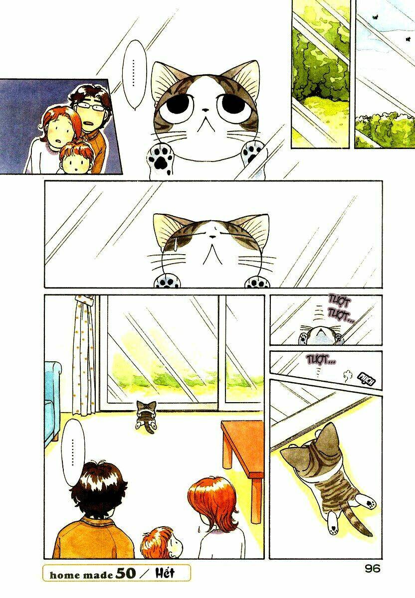 chi's sweet home chapter 50 9