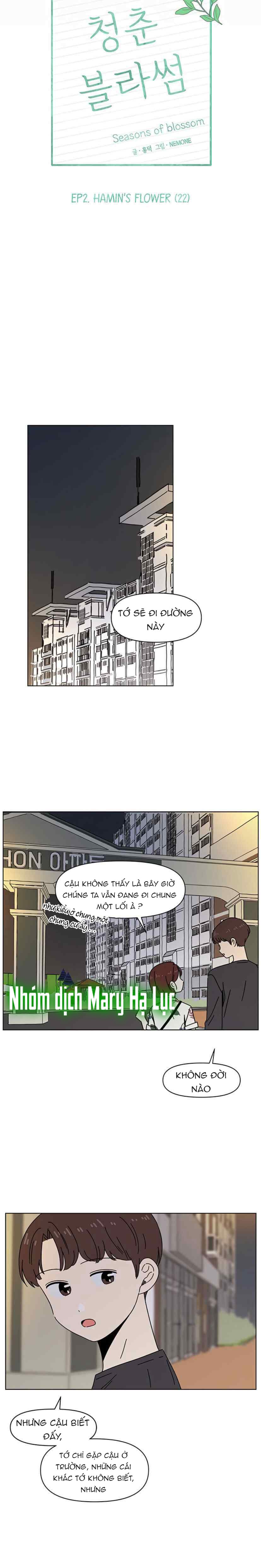 thanh xuân rực rỡ - season of blossom chapter 52 13