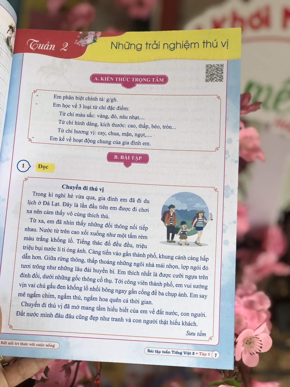 Combo Bài Tập Tuần Toán, Tiếng Việt Lớp 3 - Kết Nối Tri Thức - Học kì 1