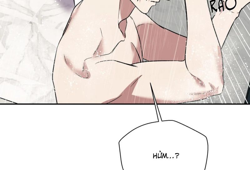 ám ảnh pheromone chapter 39 96