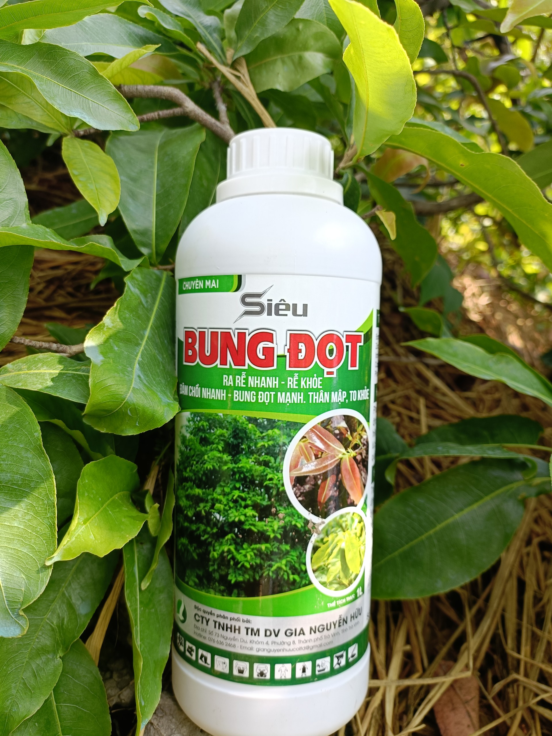 SIÊU BUNG ĐỌT GIÚP CÂY RA RỄ, ĐÂM CHỒI NHANH, BUNG ĐỌT MẠNH CHAI 1 LÍT