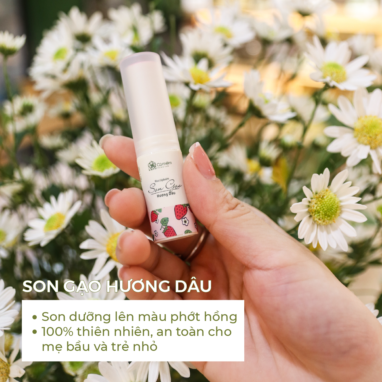 Son Gạo Hương Dâu