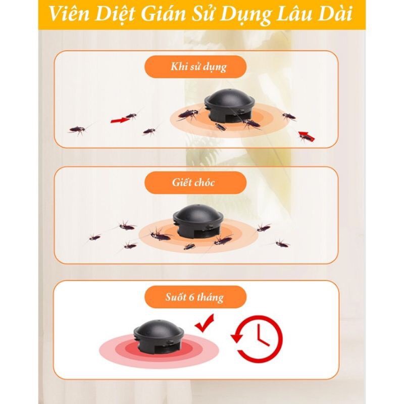 Thuốc diệt Gián dạng viên - hộp 12 viên