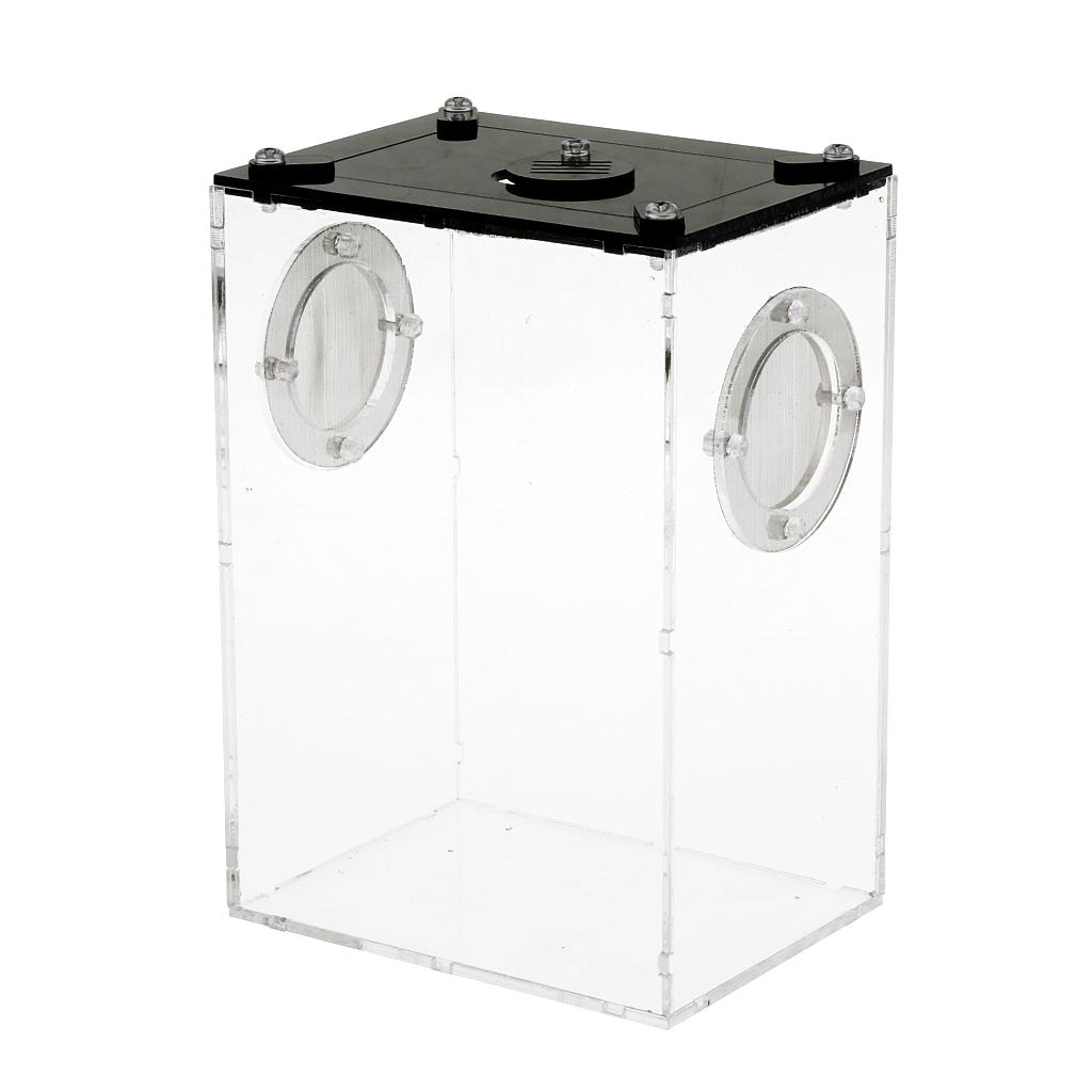 Reptiles Feeding Container Snake Insect Frog Breeding Tank Box Case