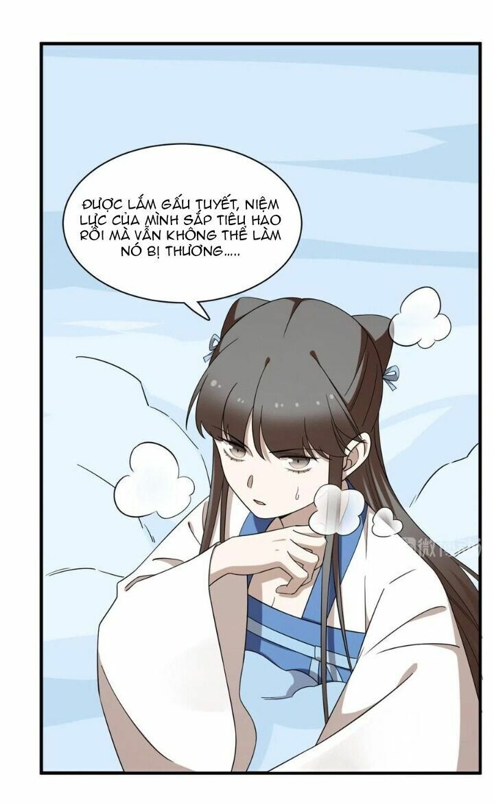 độc bộ thiên hạ: đặc công thần y chapter 252 41