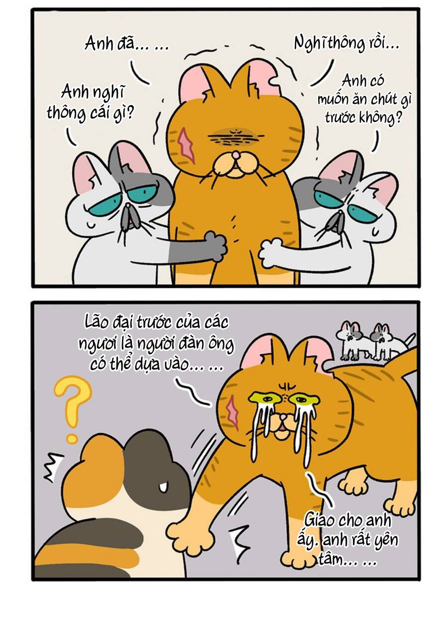 a mãn và mạch trà chapter 46.1 4