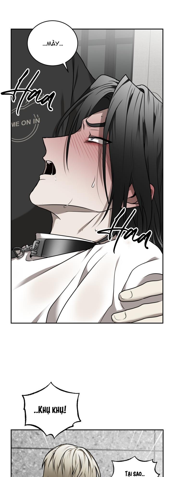 dưỡng thú cưng chapter 15 12