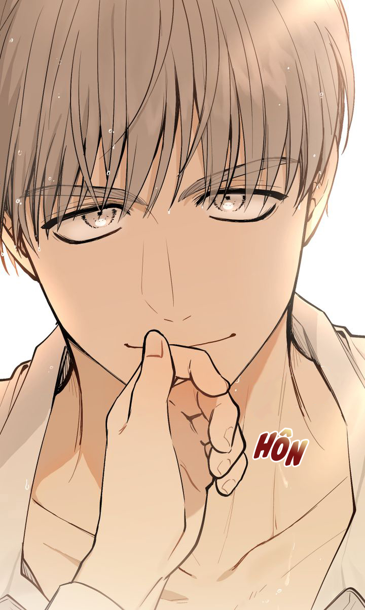 tìm lại nàng camellia chapter 0 29