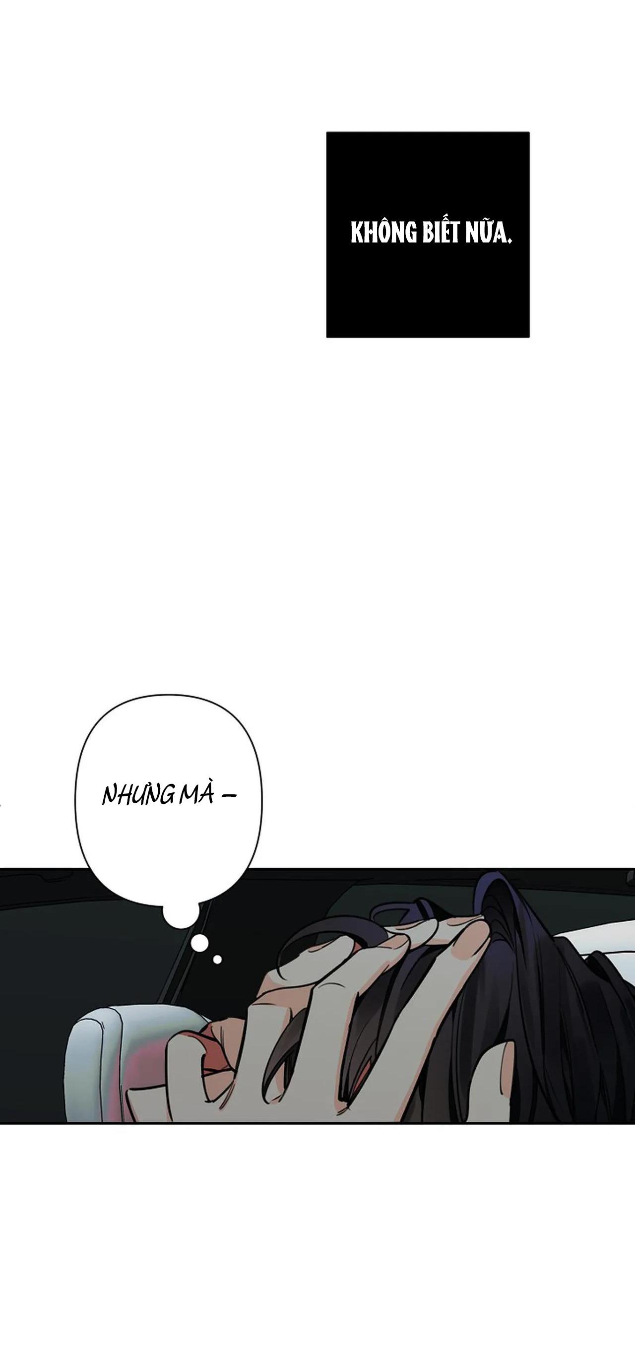 đêm dịu dàng chapter 54 22